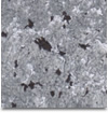Gama Byzanto 101 - 10ml