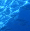 Piscinas Color Azul