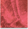 Gama Romanyo 131 - 5 ml